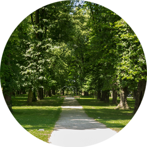 Alej v Budatínskom parku